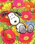 pic for SNOOPY AND FREINDS